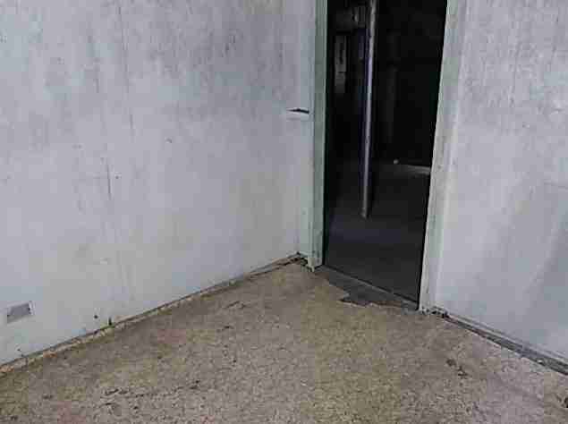 Testing again(24).jpg